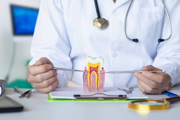 Best Dentist for Tooth Abscess  in Campbell, MO